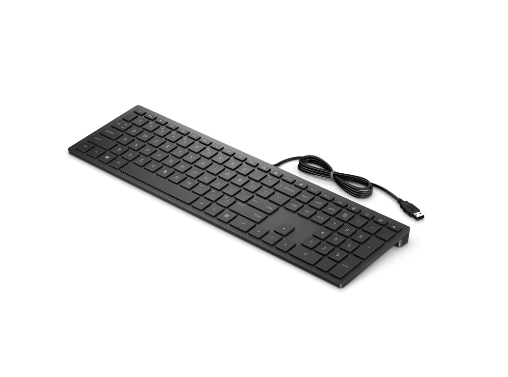 HP PAV Wired Keyboard 300
