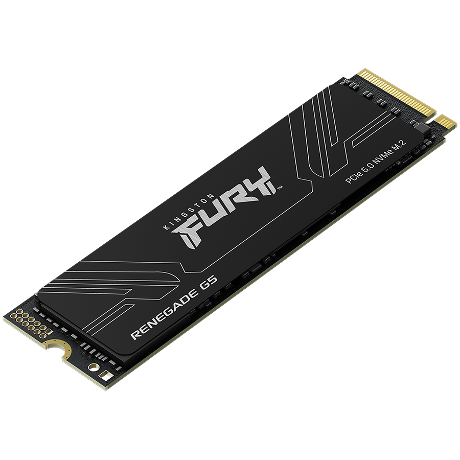 KINGSTON 1024GB FURY Renegade G5