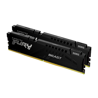 Kingston 16GB 5600MHz DDR5Fury Beast